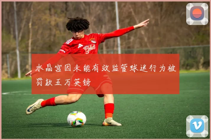 水晶宫因未能有效监管球迷行为被罚款五万英镑